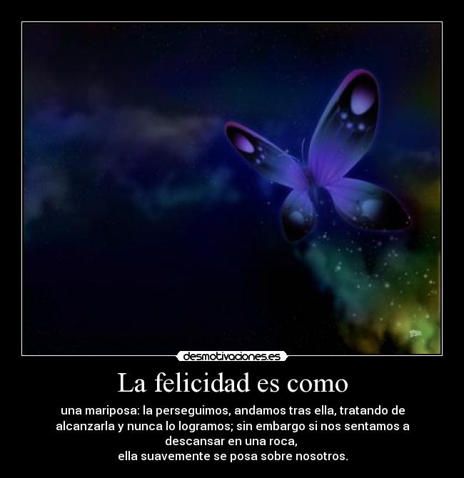 La felicidad es como - una mariposa: la perseguimos, andamos tras ella, tratando de
alcanzarla y nunca lo logramos; sin embargo si nos sentamos a
descansar en una roca,
ella suavemente se posa sobre nosotros.