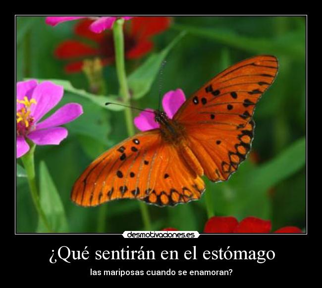 carteles que sentiran humanos desmotivaciones