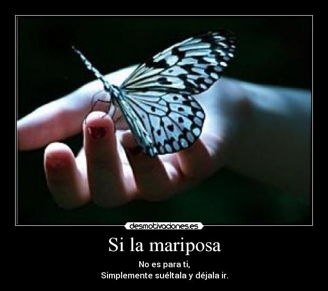 carteles mariposa mano desmotivaciones