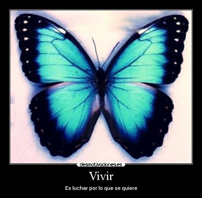 Vivir - Es luchar por lo que se quiere