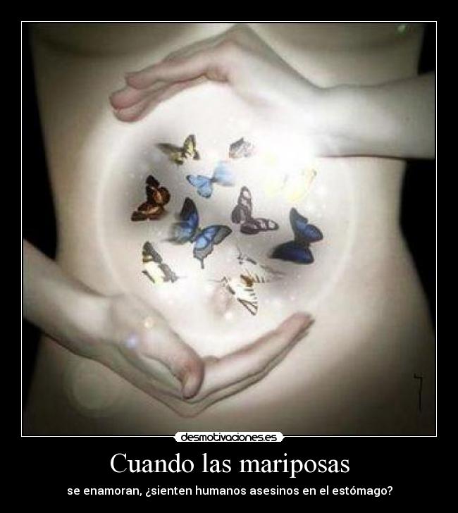 Cuando las mariposas - se enamoran, ¿sienten humanos asesinos en el estómago?