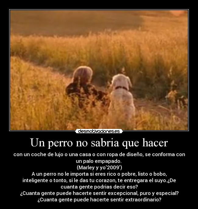 Un perro no sabria que hacer - con un coche de lujo o una casa o con ropa de diseño, se conforma con
un palo empapado.
(Marley y yo2009)
A un perro no le importa si eres rico o pobre, listo o bobo,
inteligente o tonto, si le das tu corazon, te entregara el suyo.¿De
cuanta gente podrias decir eso?
¿Cuanta gente puede hacerte sentir excepcional, puro y especial?
¿Cuanta gente puede hacerte sentir extraordinario?