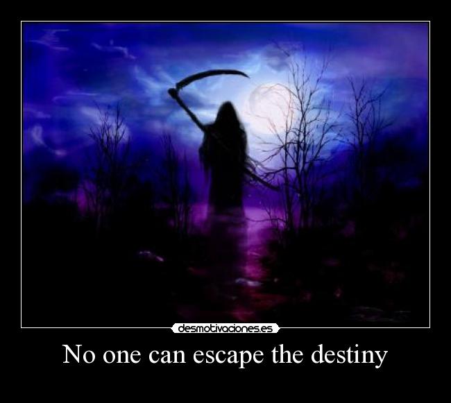 No one can escape the destiny - 