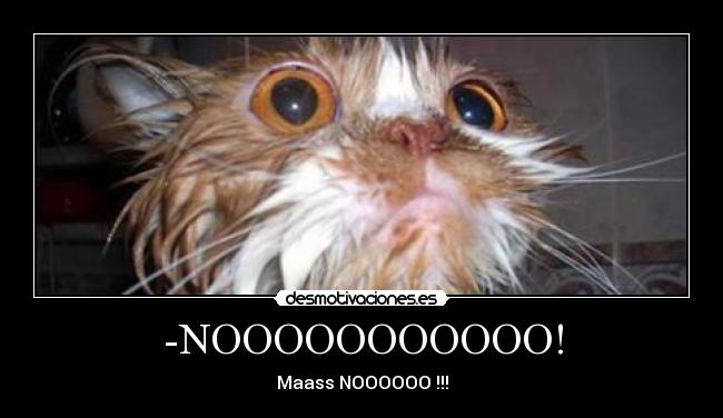 -NOOOOOOOOOOO! - Maass NOOOOOO !!!