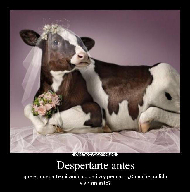 Despertarte antes - que él, quedarte mirando su carita y pensar... ¿Cómo he podido vivir sin esto?