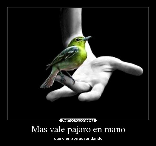 Mas vale pajaro en mano - que cien zorras rondando