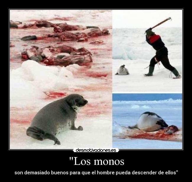 Los monos - 