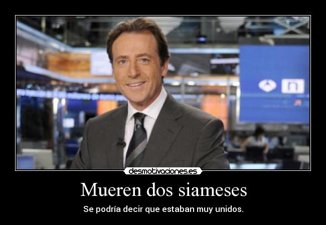 Mueren dos siameses - 