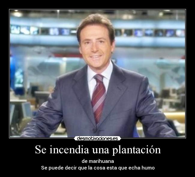 Se incendia una plantación - de marihuana
Se puede decir que la cosa esta que echa humo