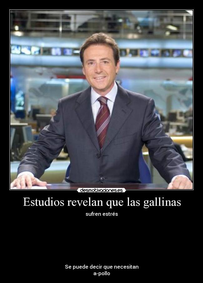 Estudios revelan que las gallinas -