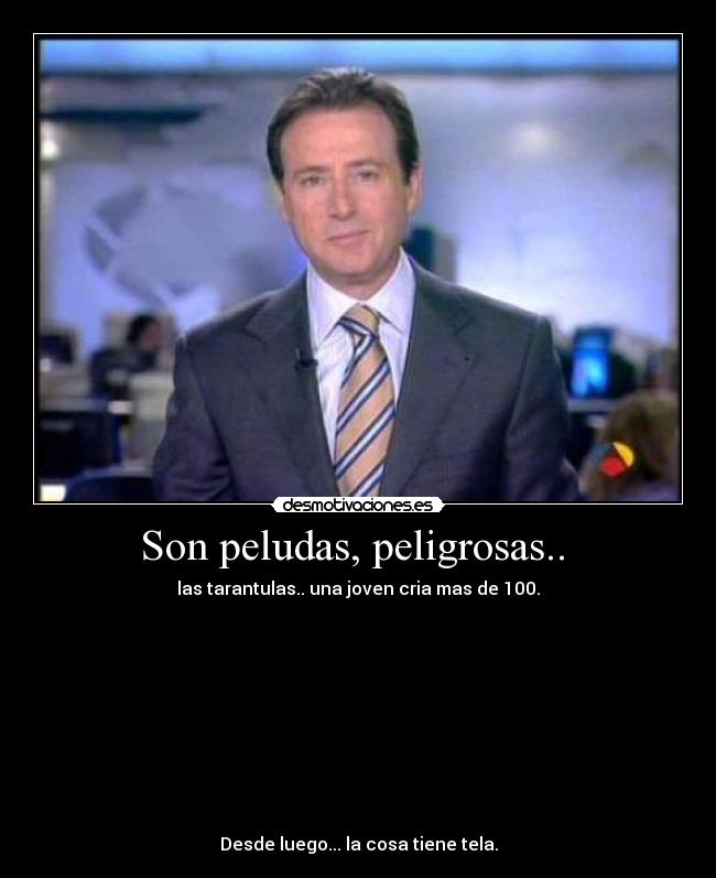 Son peludas, peligrosas.. -