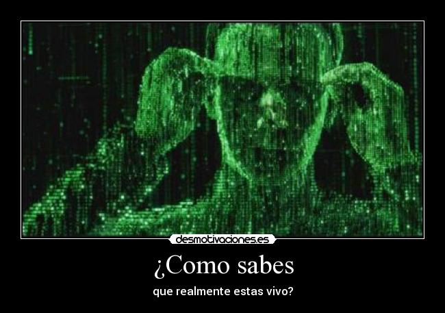¿Como sabes - 