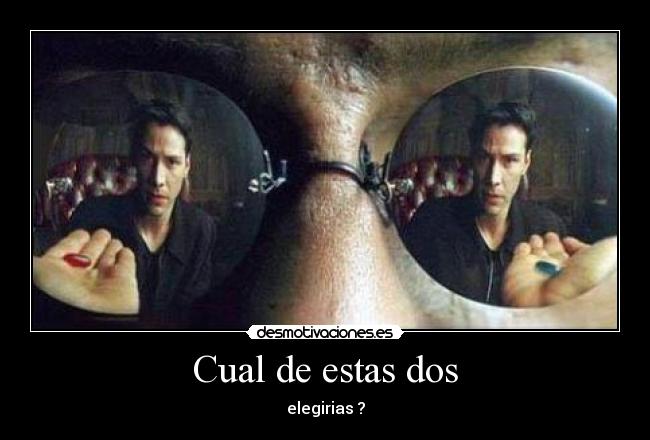 Cual de estas dos - elegirias ?