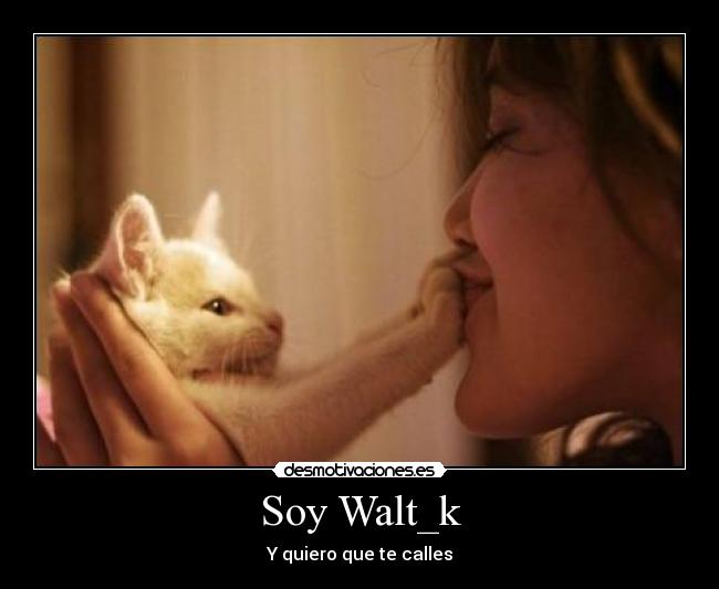 Soy Walt_k - Y quiero que te calles