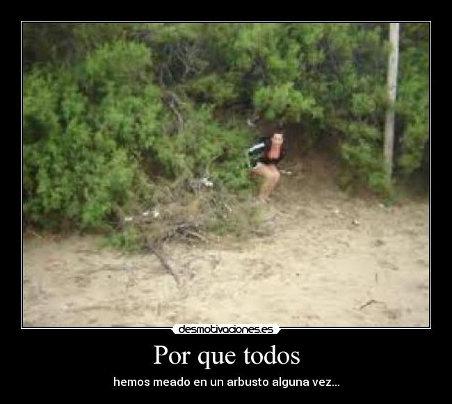 Por que todos -