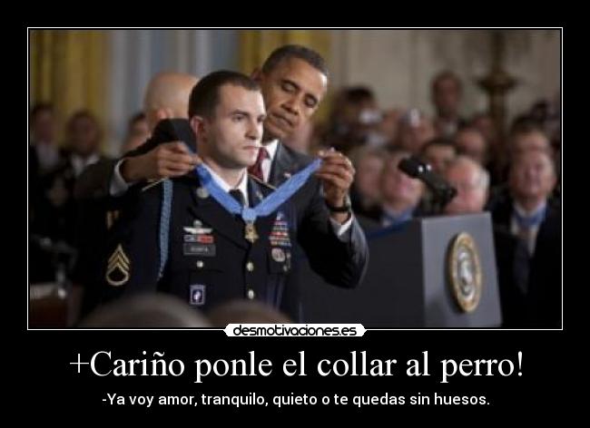 +Cariño ponle el collar al perro! - -Ya voy amor, tranquilo, quieto o te quedas sin huesos.