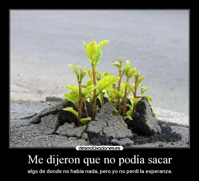 Me dijeron que no podía sacar - 