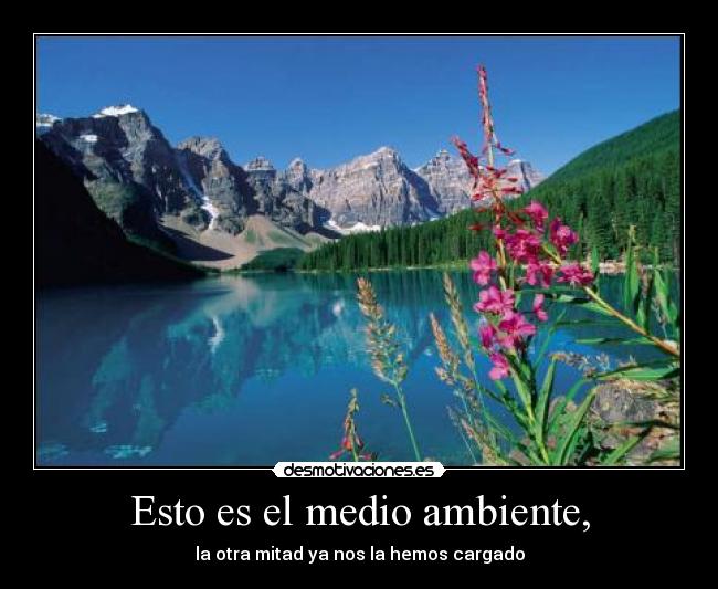 Esto es el medio ambiente, - la otra mitad ya nos la hemos cargado