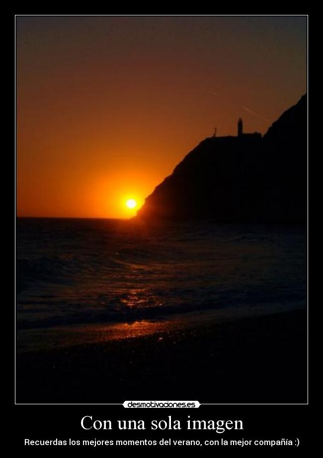 carteles chucha desmotivaciones