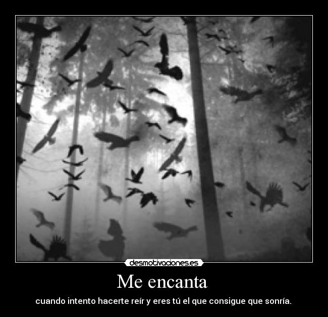 Me encanta  - 