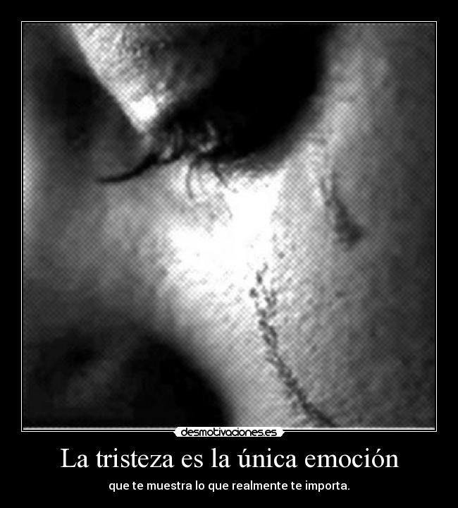 La tristeza es la única emoción - que te muestra lo que realmente te importa.