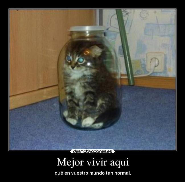 Mejor vivir aqui - qué en vuestro mundo tan normal.