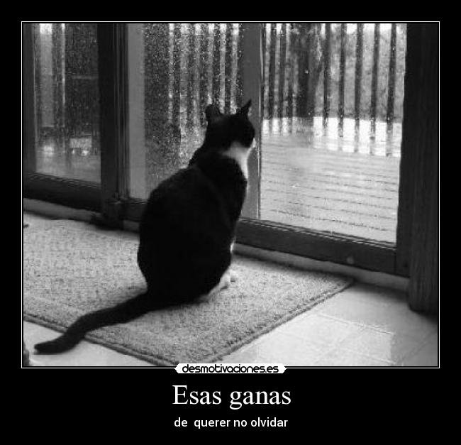 Esas ganas -