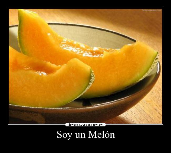 Soy un Melón - 