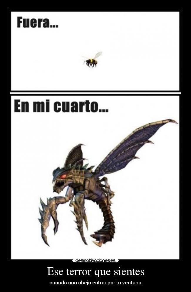 Ese terror que sientes - cuando una abeja entrar por tu ventana.