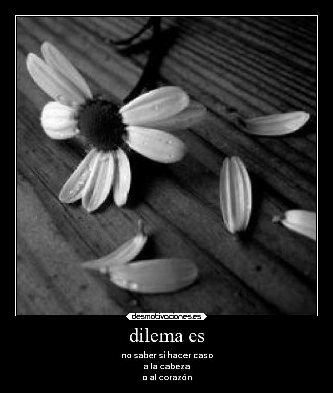 dilema es - 