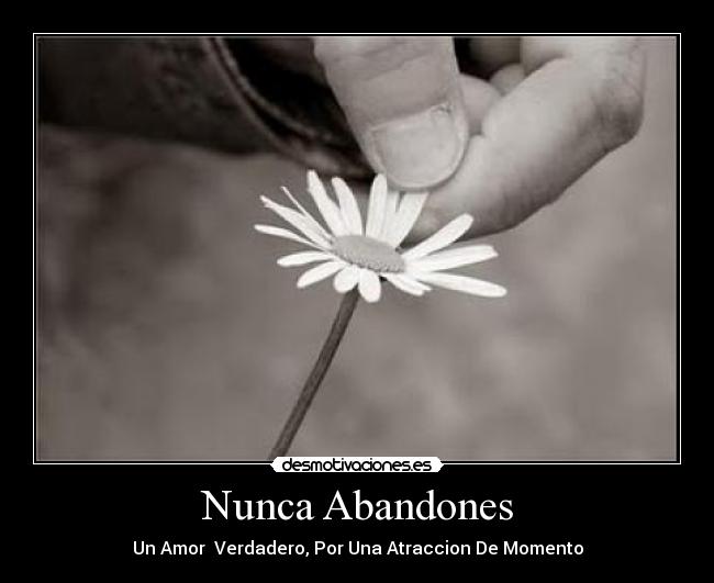 Nunca Abandones -