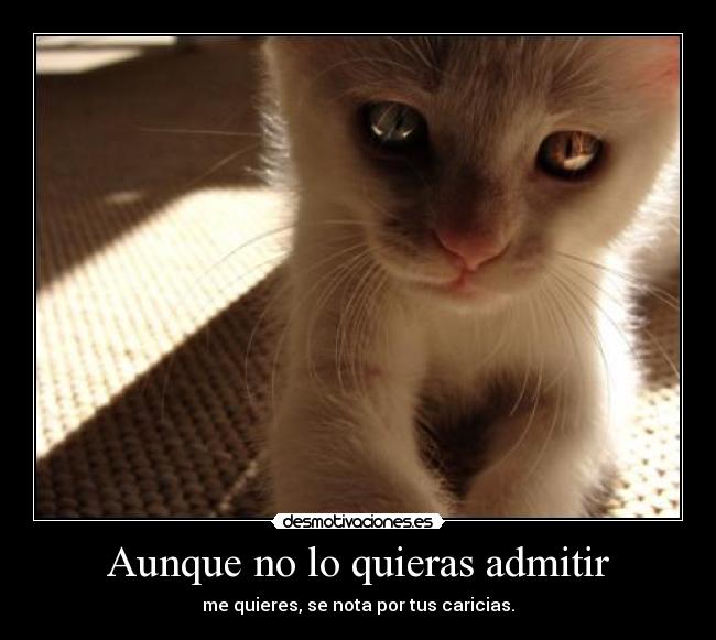 Aunque no lo quieras admitir - 
