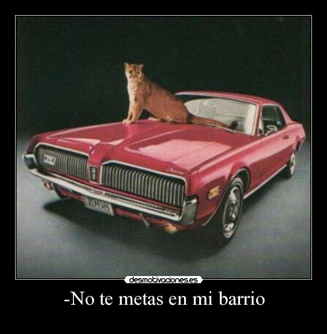 -No te metas en mi barrio -