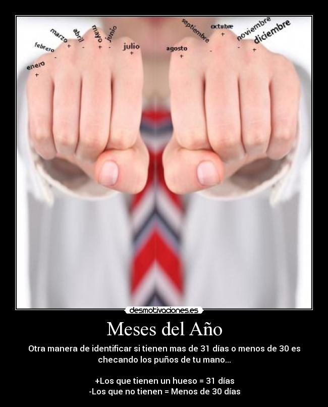 Meses del Año - Otra manera de identificar si tienen mas de 31 días o menos de 30 es
checando los puños de tu mano...
+Los que tienen un hueso = 31 días
-Los que no tienen = Menos de 30 días