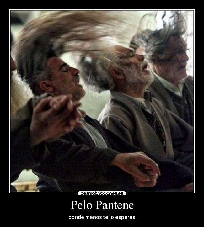 carteles pelo pantene desmotivaciones