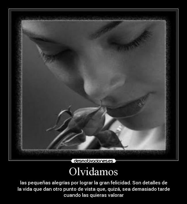  Olvidamos  - 