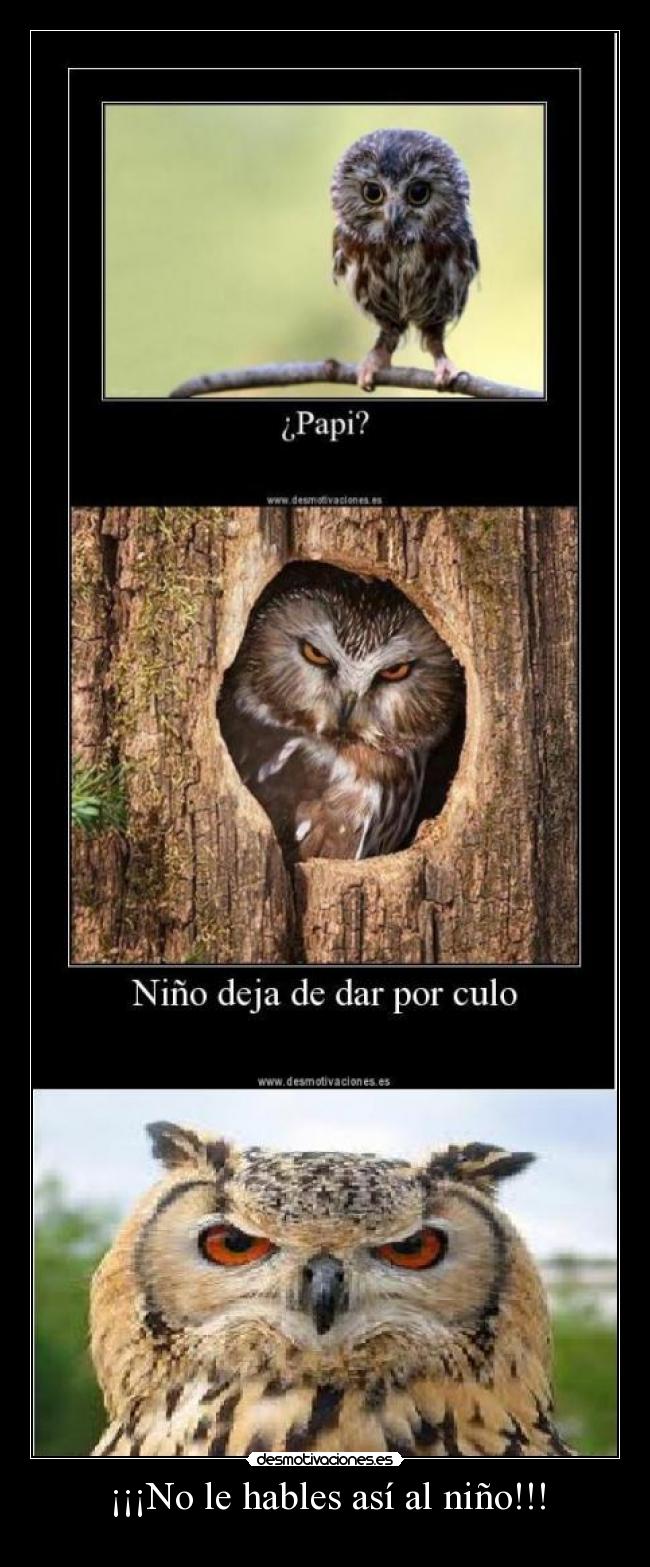 ¡¡¡No le hables así al niño!!! -