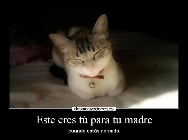 Este eres tú para tu madre -