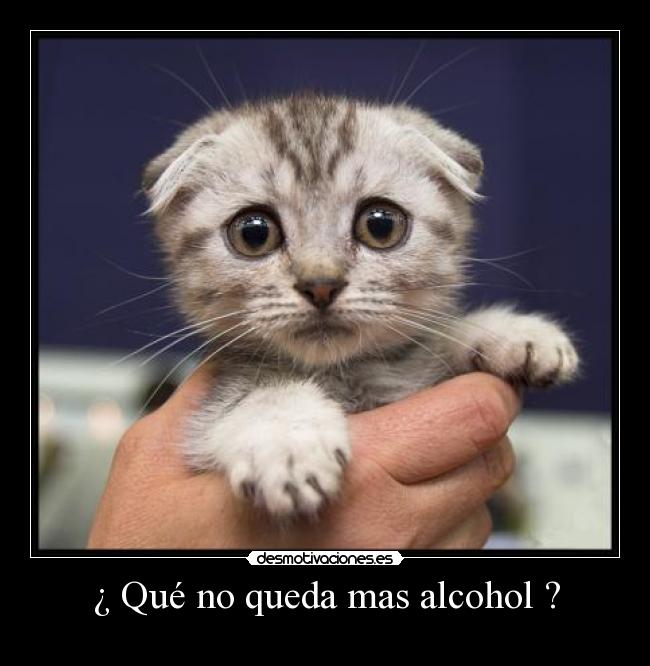 ¿ Qué no queda mas alcohol ? - 
