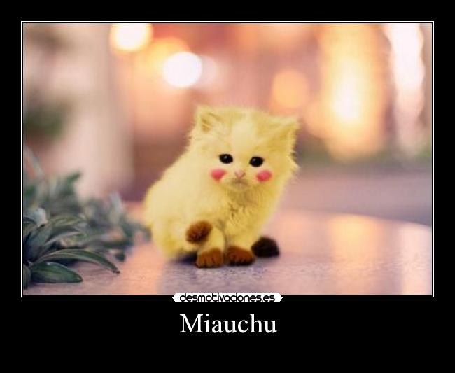 carteles gatospikachu desmotivaciones