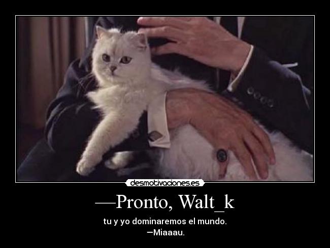 —Pronto, Walt_k -