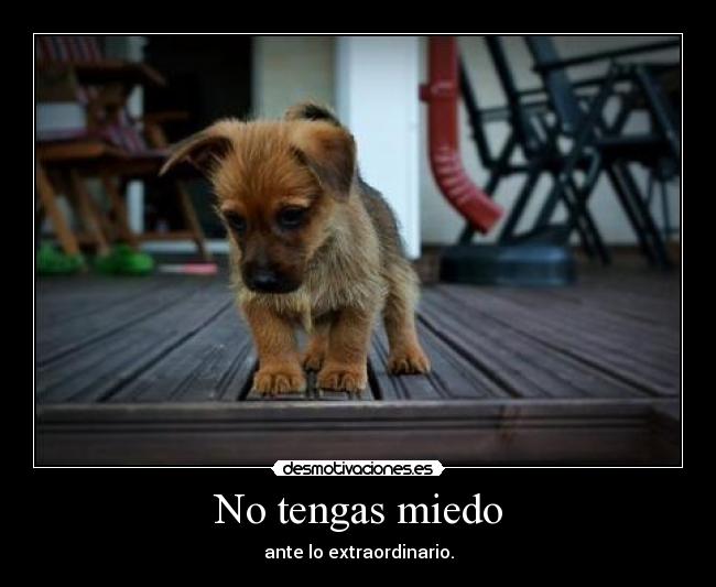 No tengas miedo - 