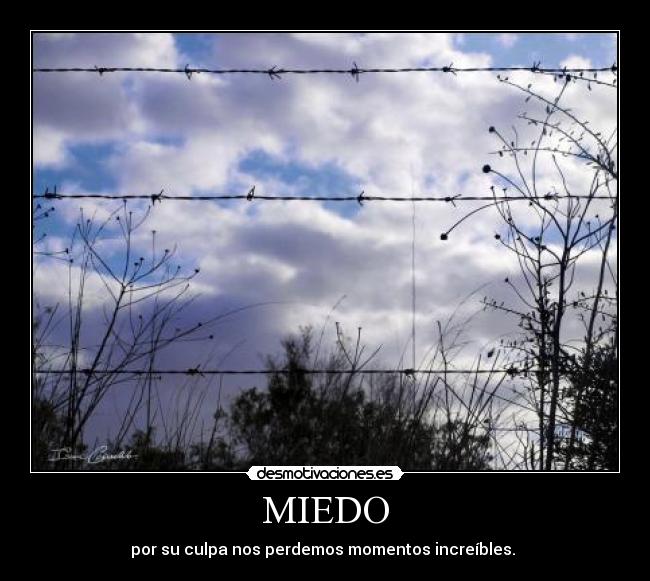 MIEDO - por su culpa nos perdemos momentos increíbles.