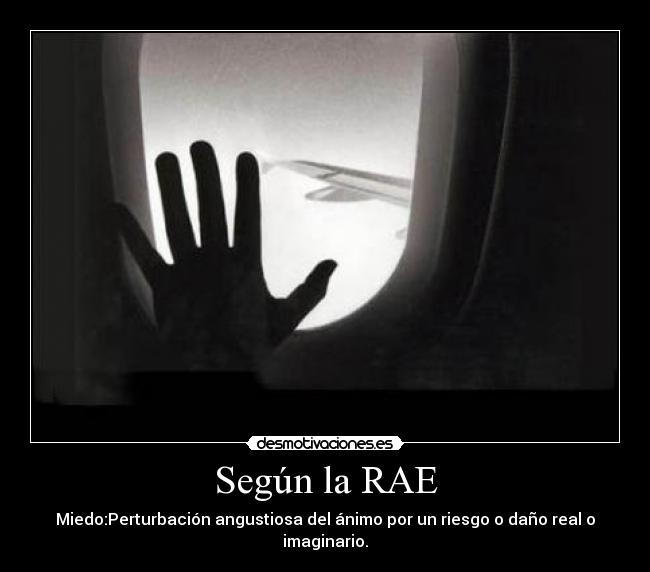 Según la RAE - Miedo:Perturbación angustiosa del ánimo por un riesgo o daño real o imaginario.