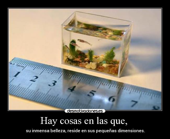 Hay cosas en las que,  - 