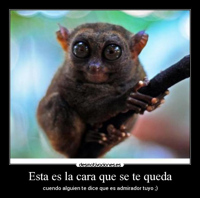 Esta es la cara que se te queda - 