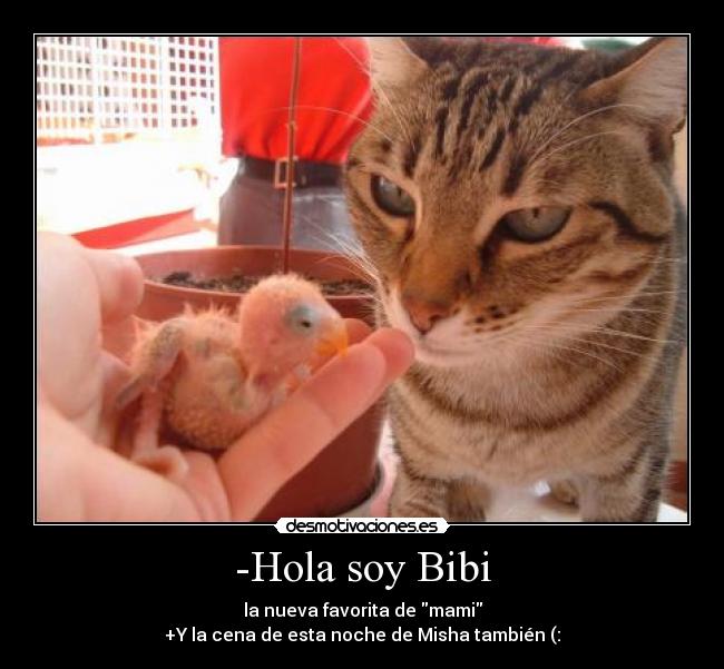-Hola soy Bibi - la nueva favorita de mami
+Y la cena de esta noche de Misha también (:
