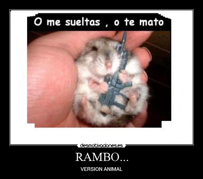 RAMBO... - VERSION ANIMAL