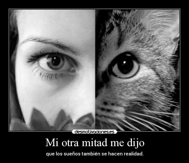 Mi otra mitad me dijo - 