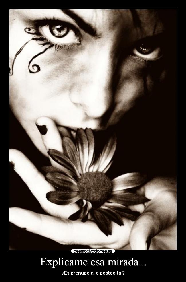 carteles mirada prenupcial postcoital desmotivaciones